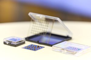 Foto_Ines_Escherich (75).jpg